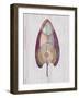 Global Palm 1-Filippo Ioco-Framed Art Print