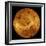 Global View of the Surface of Venus-Stocktrek Images-Framed Photographic Print