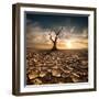 Global Warming Concept. Lonely Dead Tree under Dramatic Evening Sunset Sky at Drought Cracked Deser-Perfect Lazybones-Framed Photographic Print