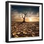 Global Warming Concept. Lonely Dead Tree under Dramatic Evening Sunset Sky at Drought Cracked Deser-Perfect Lazybones-Framed Photographic Print