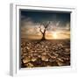 Global Warming Concept. Lonely Dead Tree under Dramatic Evening Sunset Sky at Drought Cracked Deser-Perfect Lazybones-Framed Photographic Print