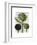 Globe Artichoke Print 1-Fab Funky-Framed Art Print