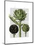 Globe Artichoke Print 1-Fab Funky-Mounted Art Print