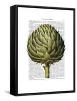 Globe Artichoke Print 2-Fab Funky-Framed Stretched Canvas