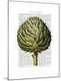 Globe Artichoke Print 2-Fab Funky-Mounted Art Print