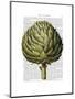 Globe Artichoke Print 2-Fab Funky-Mounted Art Print