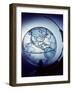 Globe Built by Robert H. Farquhar to Trace Orbit of Sputnik I-Dmitri Kessel-Framed Photographic Print