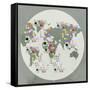 Globe II-PI Juvenile-Framed Stretched Canvas