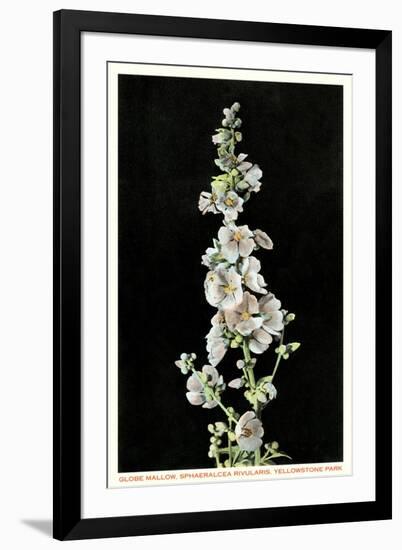 Globe Mallow, Yellowstone National Park-null-Framed Art Print