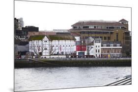 Globe Theatre on Bankside, London, England, United Kingdom, Europe-Mark-Mounted Photographic Print