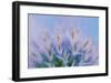 Globe Thistle Abstract-Don Paulson-Framed Giclee Print