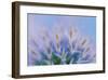 Globe Thistle Abstract-Don Paulson-Framed Giclee Print