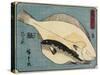 Globefish and Flounder, 1830-1844-Utagawa Hiroshige-Stretched Canvas