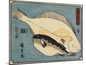 Globefish and Flounder, 1830-1844-Utagawa Hiroshige-Mounted Giclee Print