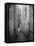 Gloomy Alley in Glasgow-Thomas Annan-Framed Stretched Canvas