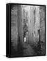 Gloomy Alley in Glasgow-Thomas Annan-Framed Stretched Canvas