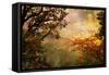 Gloomy Sunset - Artwork In Oil Painting Style-Maugli-l-Framed Stretched Canvas