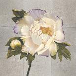 Plum Peonies 3-Gloria Eriksen-Stretched Canvas