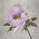 Plum Peonies 3-Gloria Eriksen-Mounted Art Print