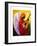 Gloria in Excelcis Deo, 2011-Patricia Brintle-Framed Art Print