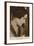 Gloria Swanson-null-Framed Photographic Print