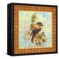 Glorious Birds On Aqua-A-Jean Plout-Framed Stretched Canvas