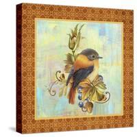 Glorious Birds On Aqua-A-Jean Plout-Stretched Canvas