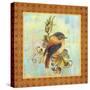 Glorious Birds On Aqua-A-Jean Plout-Stretched Canvas