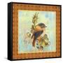 Glorious Birds On Aqua-A-Jean Plout-Framed Stretched Canvas