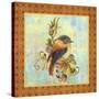 Glorious Birds On Aqua-A-Jean Plout-Stretched Canvas