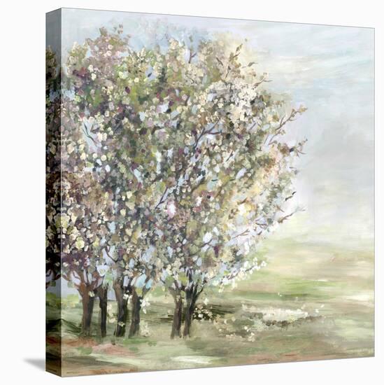 Glorious Bloom-Allison Pearce-Stretched Canvas