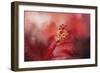 Glorious Bloom-Jai Johnson-Framed Giclee Print