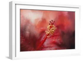 Glorious Bloom-Jai Johnson-Framed Giclee Print