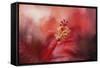 Glorious Bloom-Jai Johnson-Framed Stretched Canvas