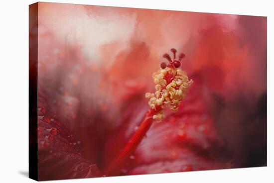 Glorious Bloom-Jai Johnson-Stretched Canvas