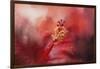 Glorious Bloom-Jai Johnson-Framed Giclee Print