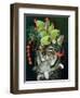 Glorious Forest Hat-Carolyn Schmitz-Framed Art Print