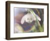 Glorious in Rainbow I-Gillian Hunt-Framed Photographic Print