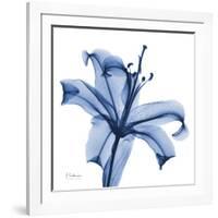 Glorious Indigo Lily-Albert Koetsier-Framed Art Print