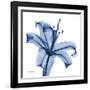 Glorious Indigo Lily-Albert Koetsier-Framed Art Print