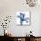 Glorious Indigo Lily-Albert Koetsier-Mounted Art Print displayed on a wall