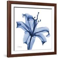 Glorious Indigo Lily-Albert Koetsier-Framed Art Print