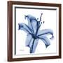 Glorious Indigo Lily-Albert Koetsier-Framed Art Print