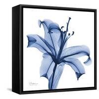 Glorious Indigo Lily-Albert Koetsier-Framed Stretched Canvas