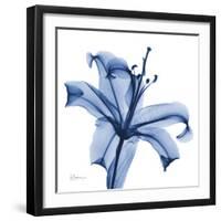 Glorious Indigo Lily-Albert Koetsier-Framed Art Print