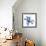 Glorious Indigo Lily-Albert Koetsier-Framed Art Print displayed on a wall