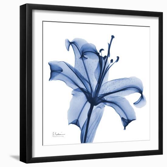Glorious Indigo Lily-Albert Koetsier-Framed Art Print