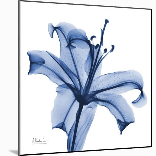 Glorious Indigo Lily-Albert Koetsier-Mounted Art Print