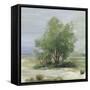 Glorious Tree-Allison Pearce-Framed Stretched Canvas