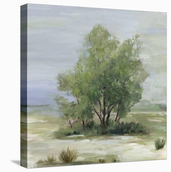 Glorious Tree-Allison Pearce-Stretched Canvas